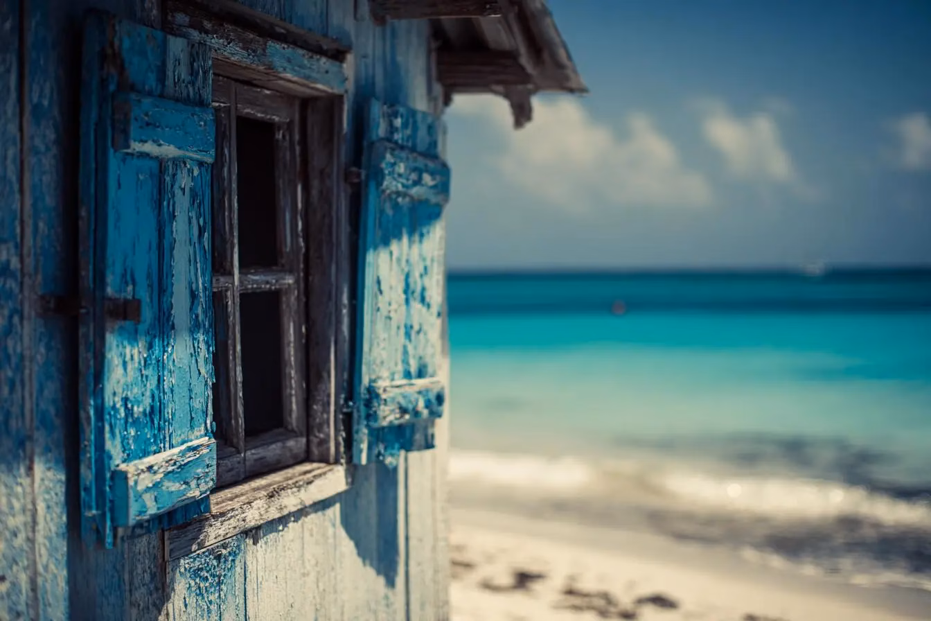 La ventana de oportunidad